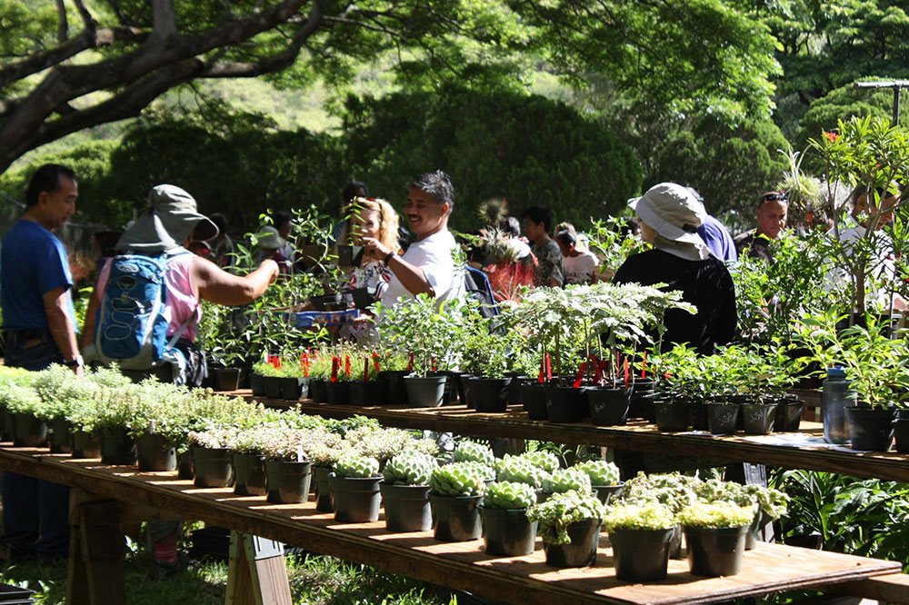 Annual Unthirsty Plant Sale 现场