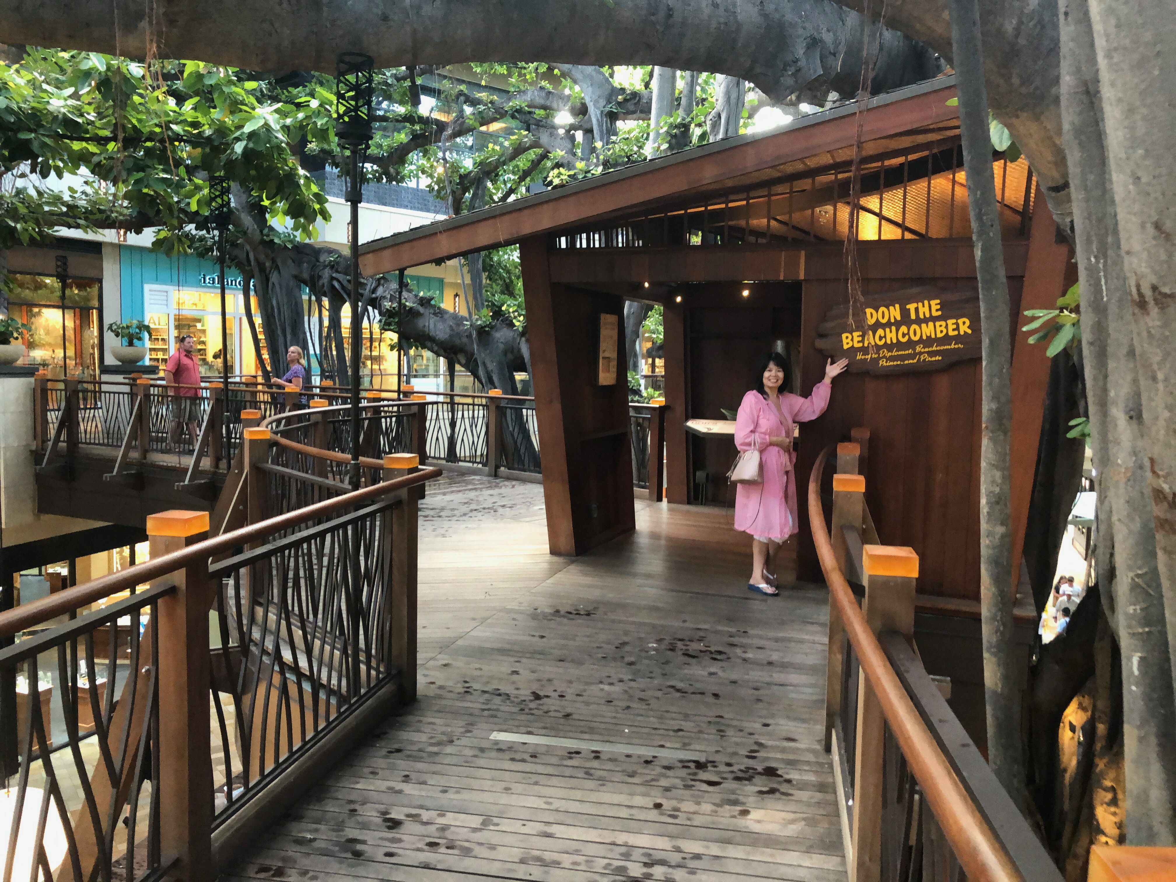 International Market Place 的 treehouse 现状，木结构阁楼嵌在榕树旁