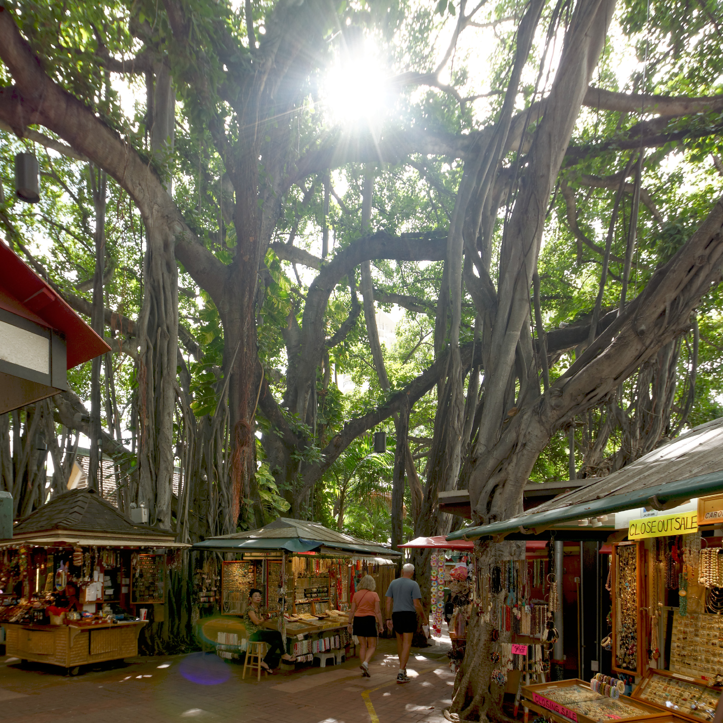 International Market Place 2016 年重开后围绕 banyan tree 的零售界面和 atrium 空间