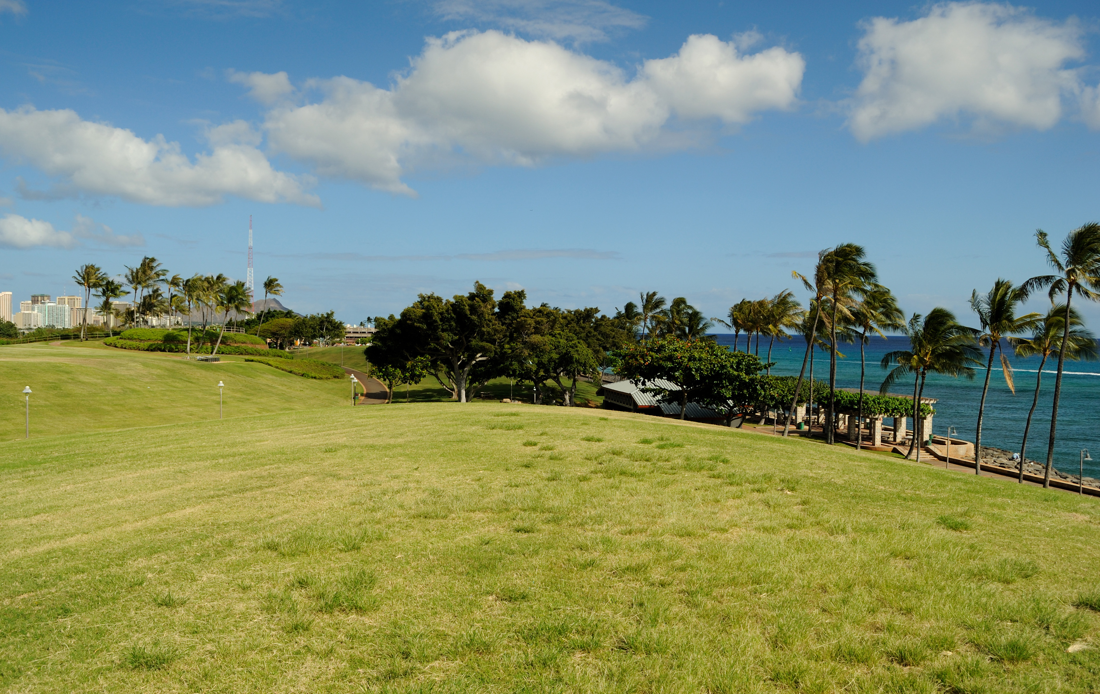 Waterfront Park hilltop，从高点看海岸线、公园地形和城市边界