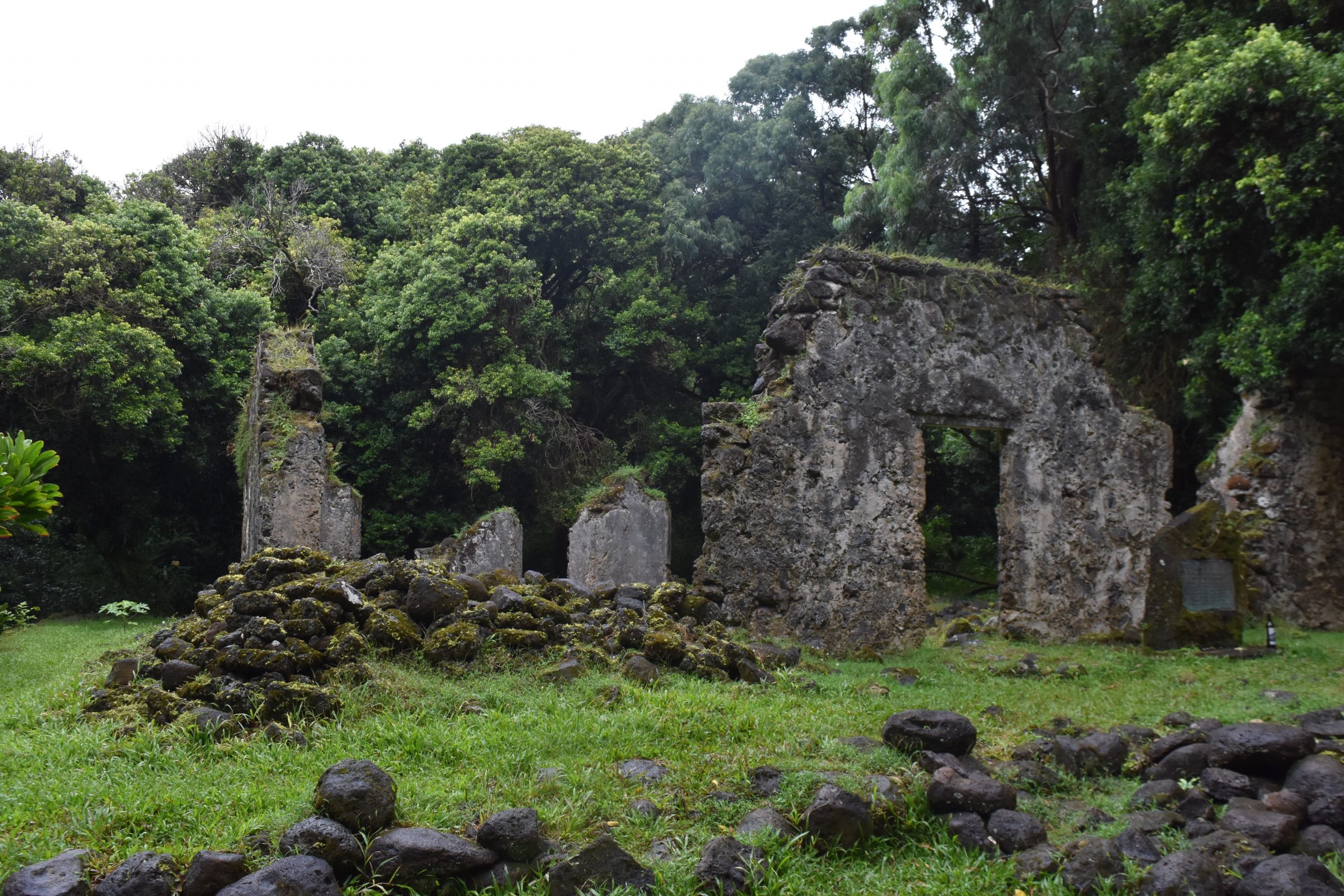 Kaniakapūpū 的石墙与窗洞遗迹，背景是 Nuʻuanu 森林