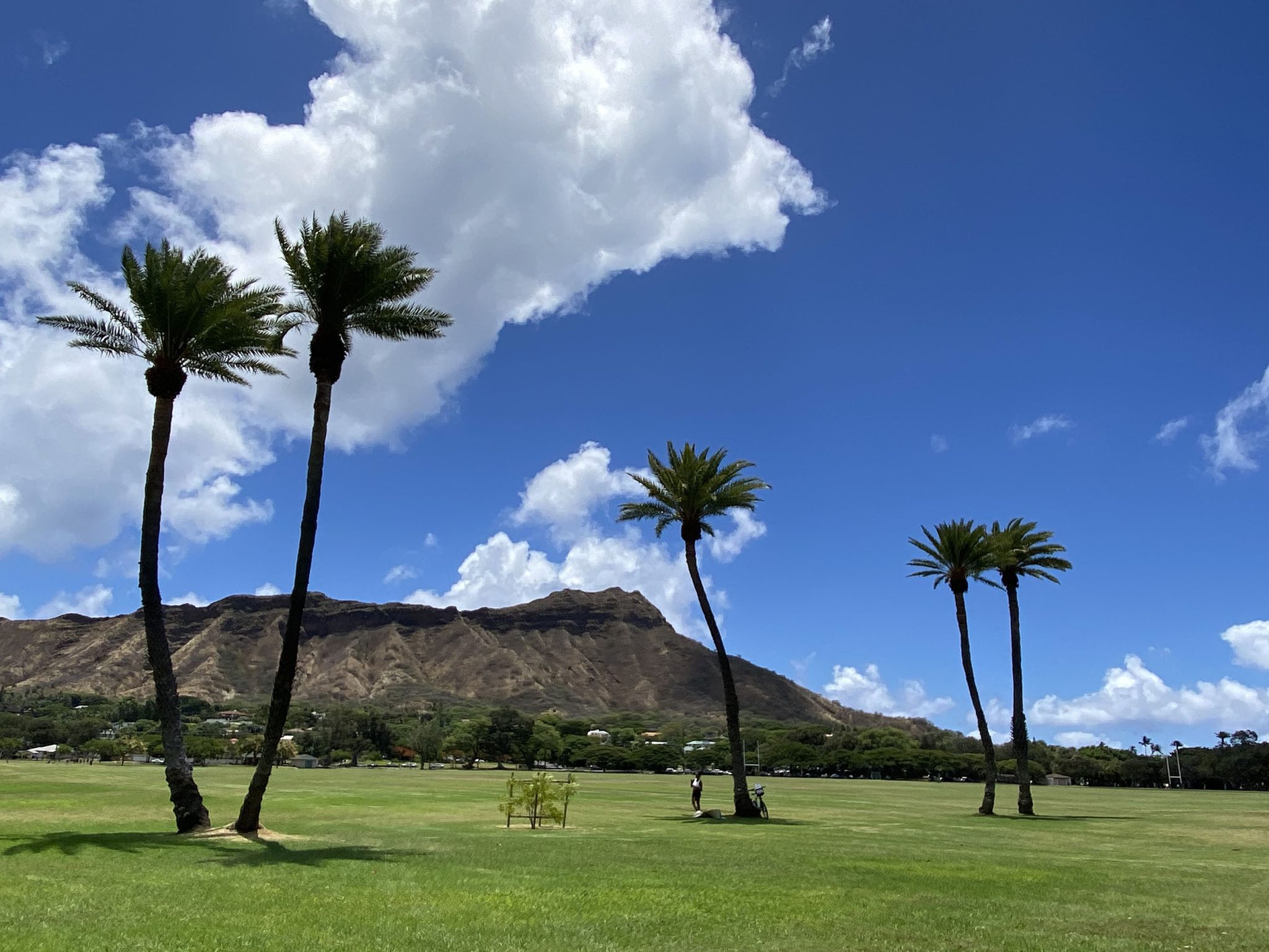 Kapiʻolani Park 的大草坪和 Lēʻahi 背景