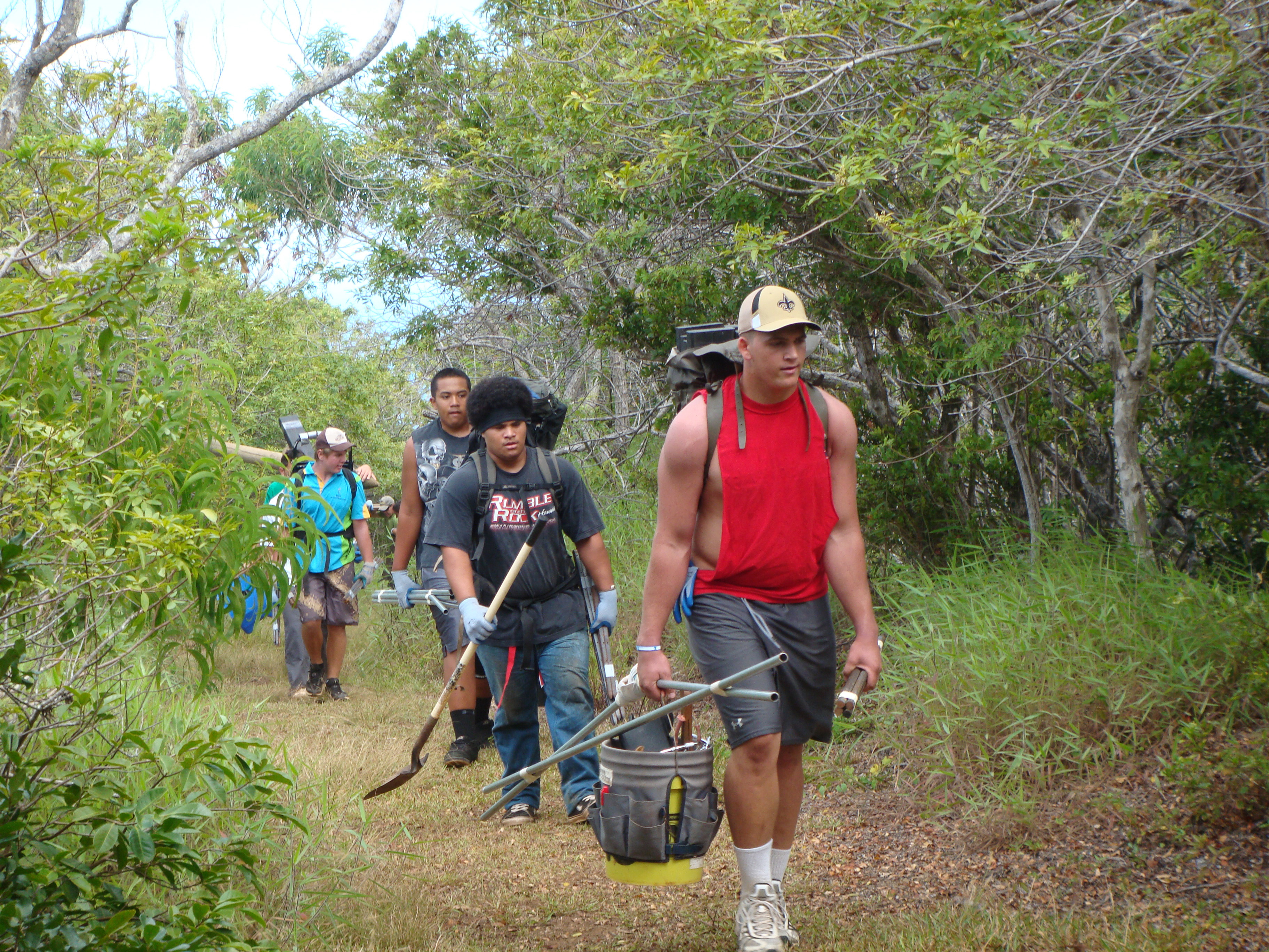 Kahanahāiki forest gulch 中的志愿者和恢复工作