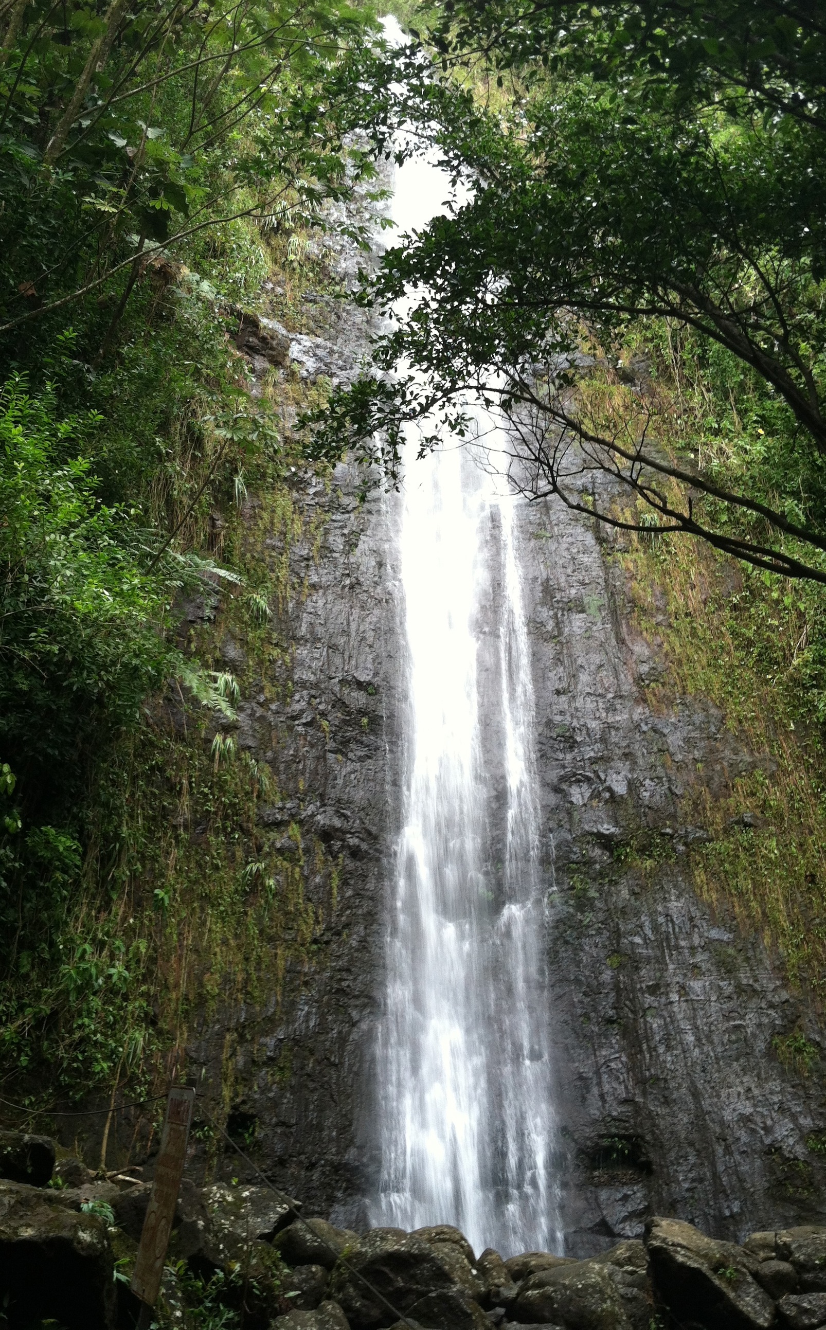 Mānoa Falls and the pool below the cliff
