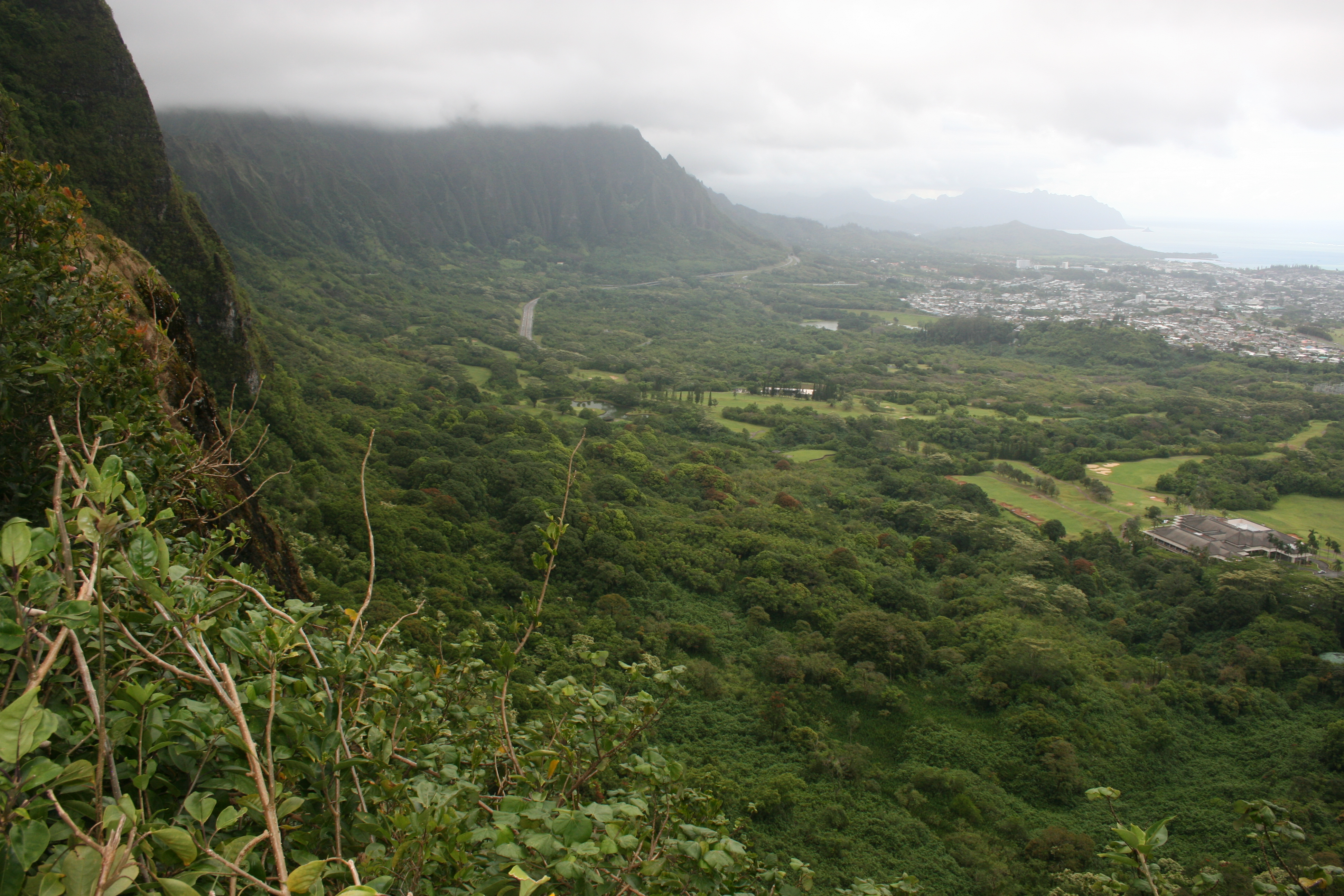 Nuʻuanu Pali lookout 的栏杆、平台和 windward 方向的视野