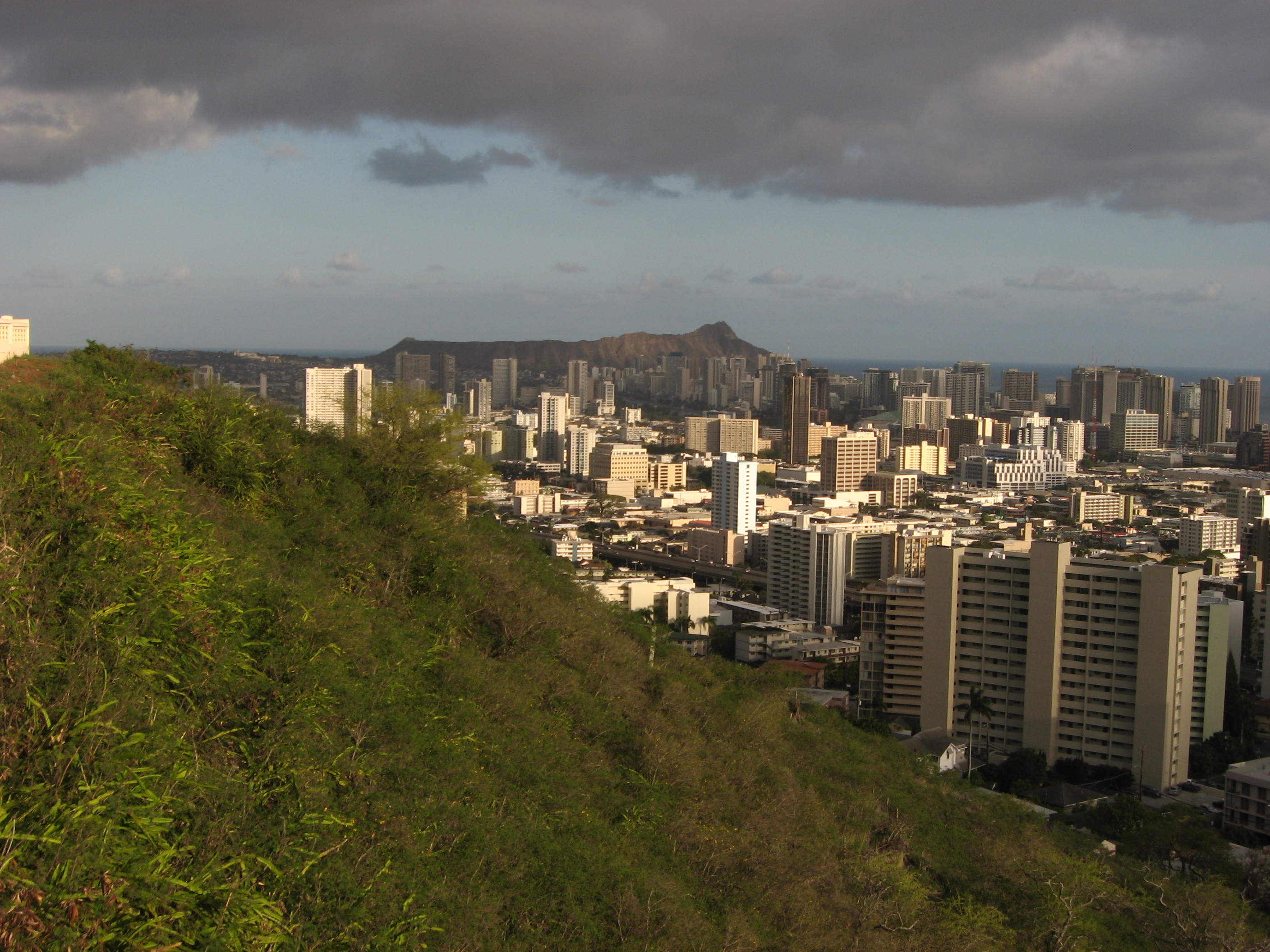 从 Punchbowl crater 俯瞰 Honolulu 城市天际线，crater rim 植被和城市空间形成分界线