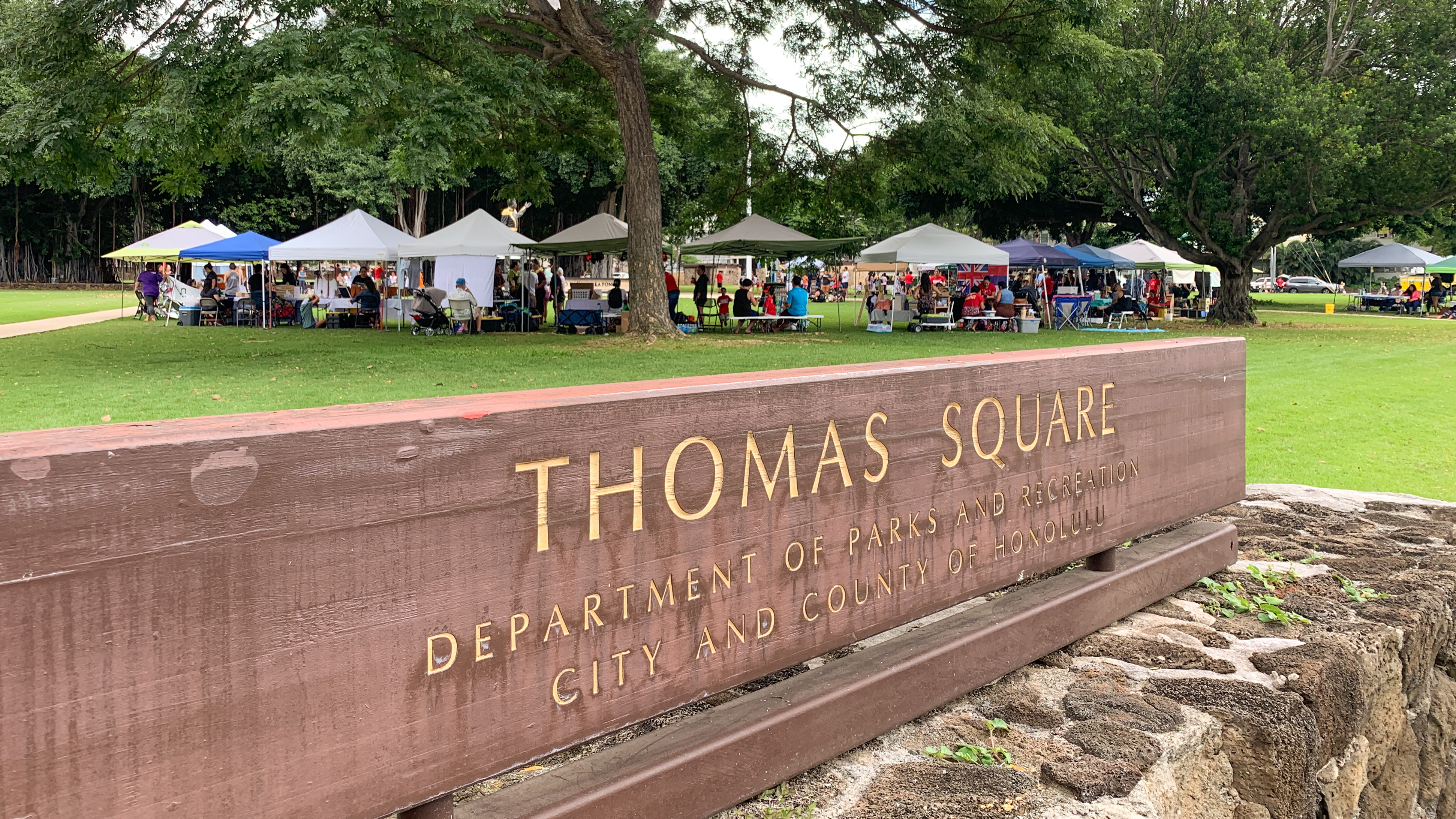 Busy day in Thomas Square，人群在草地和树下聚集