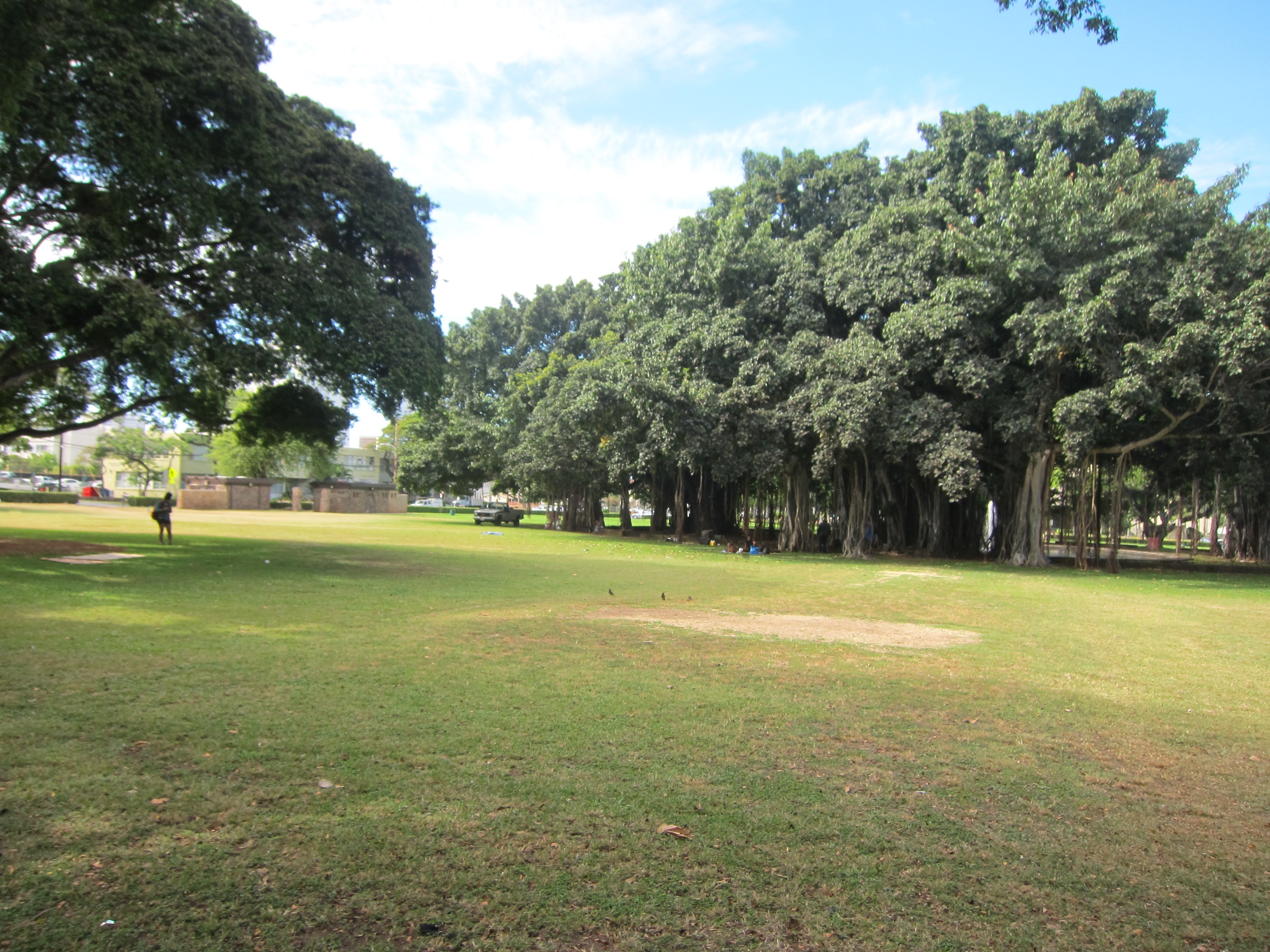 Thomas Square Park in Honolulu，开阔草地、步道和城市建筑背景