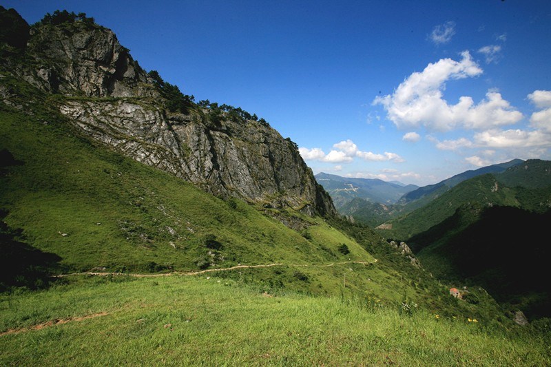 古道山景：石板路在山林中蜿蜒