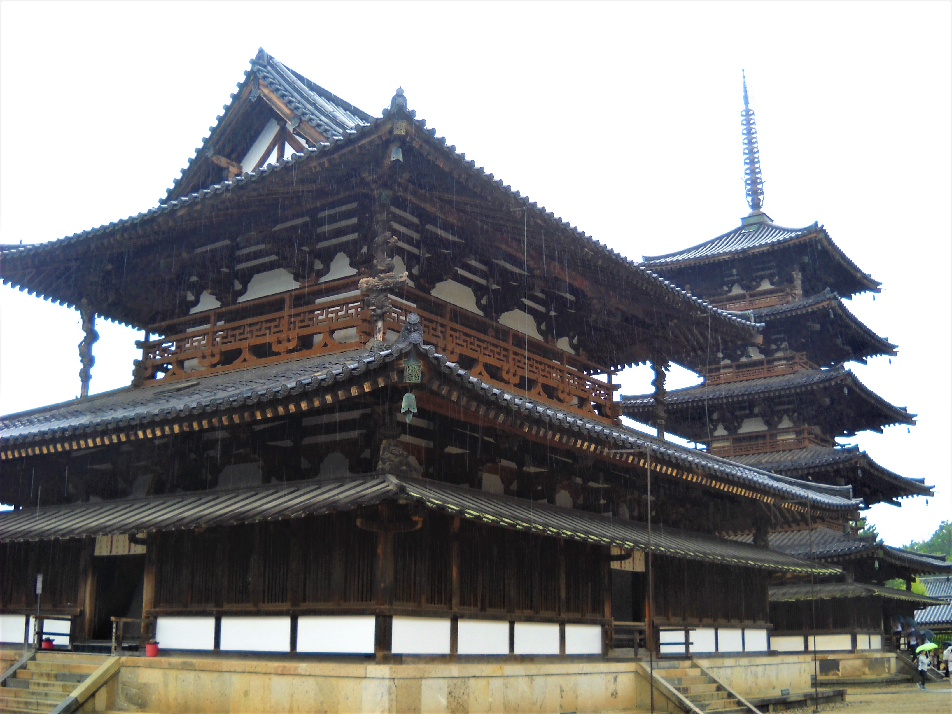 法隆寺院落，古树与建筑和谐共存