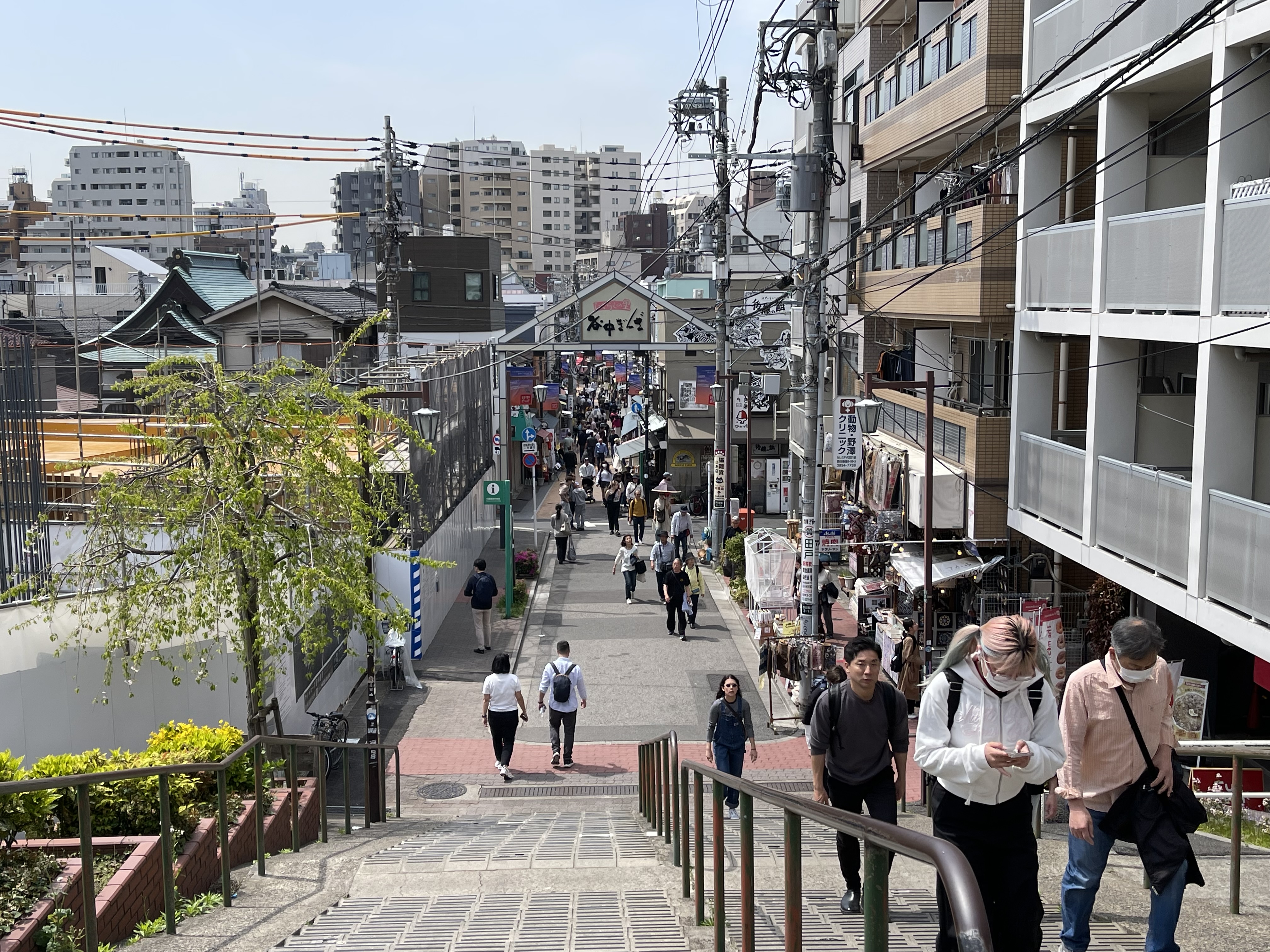 夕焼けだんだん台阶俯瞰谷中银座，画面中全部建筑不超过三层，窄巷向远处延伸