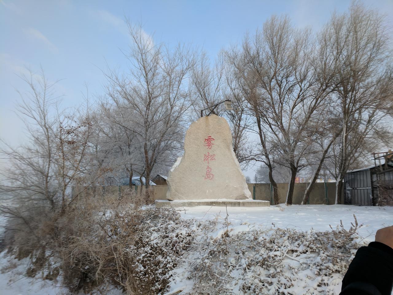雾凇岛冬日景观，雾凇覆盖的树木与江面雾气