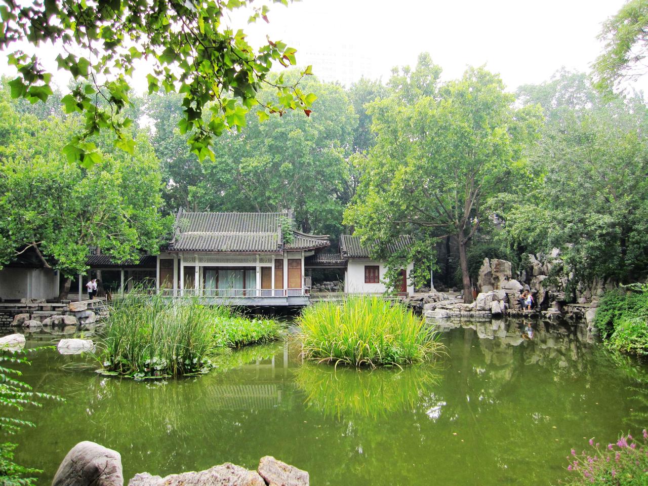 济南中山公园内景，可见公园西侧池塘和树木