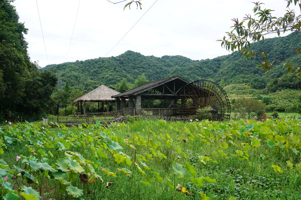 进坑村2015年复原的宋代风格水碓，水轮高逾一丈（约三米），溪水驱动下带动多个碓锤敲击瓷石