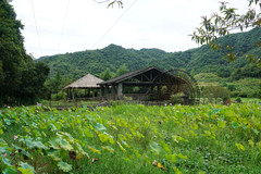 彭家弄老巷弄，窑砖铺地和墙面，两侧为传统民居和作坊空间