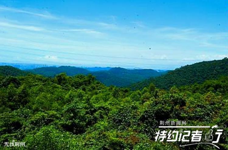 八岭山远景,起伏的山岭中隐藏着400多座古墓