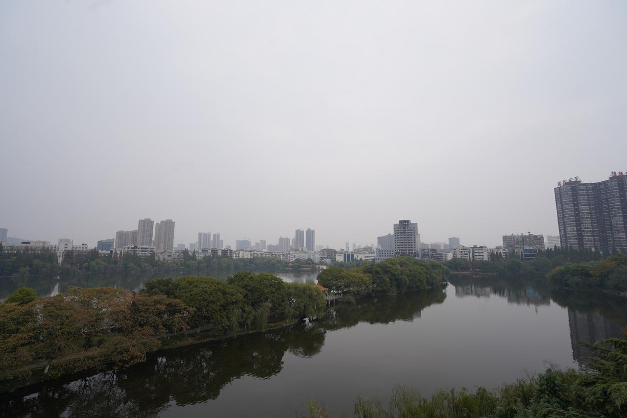 沙市全景俯瞰