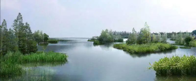 洪湖湖区自然风光