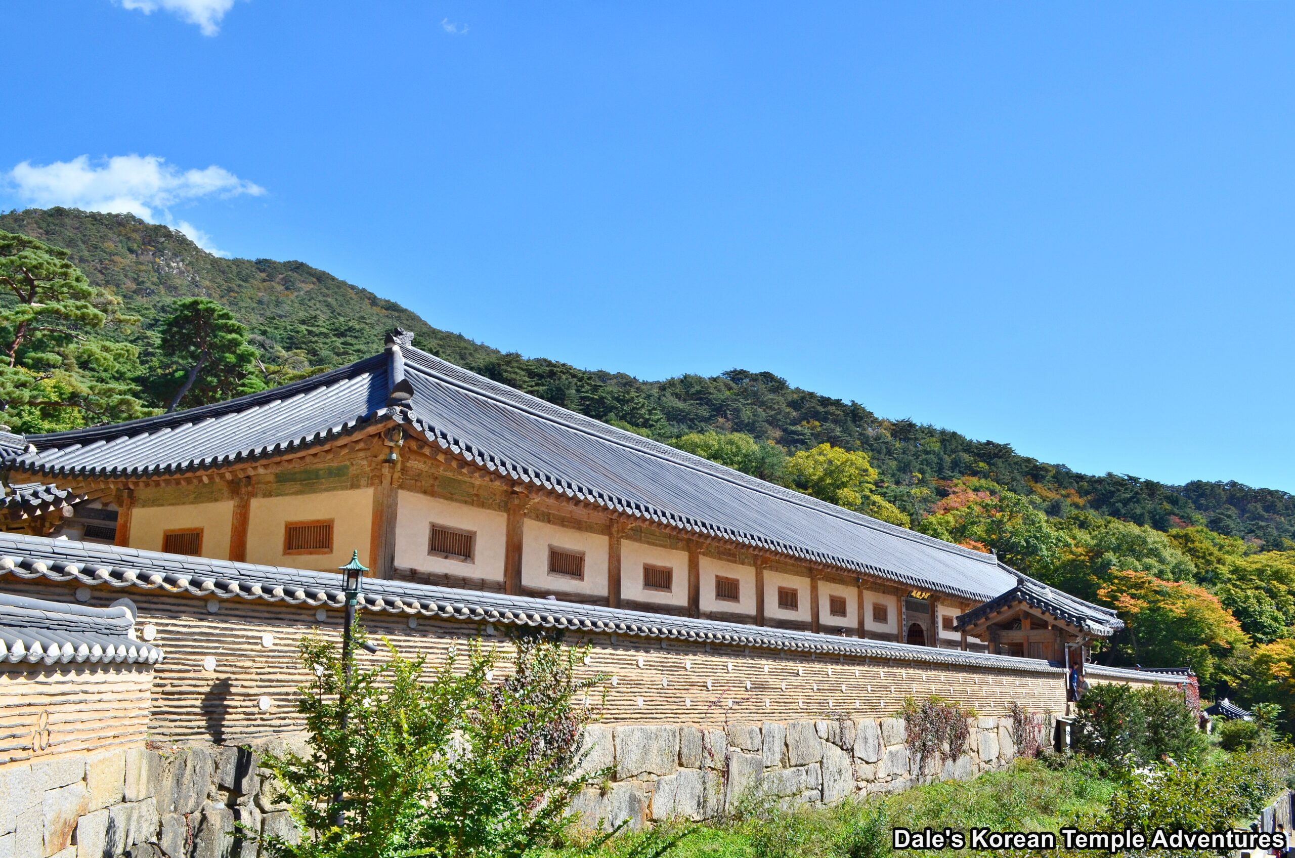 藏经板殿（Janggyeong Panjeon）外观，四座木构建筑环绕庭院
