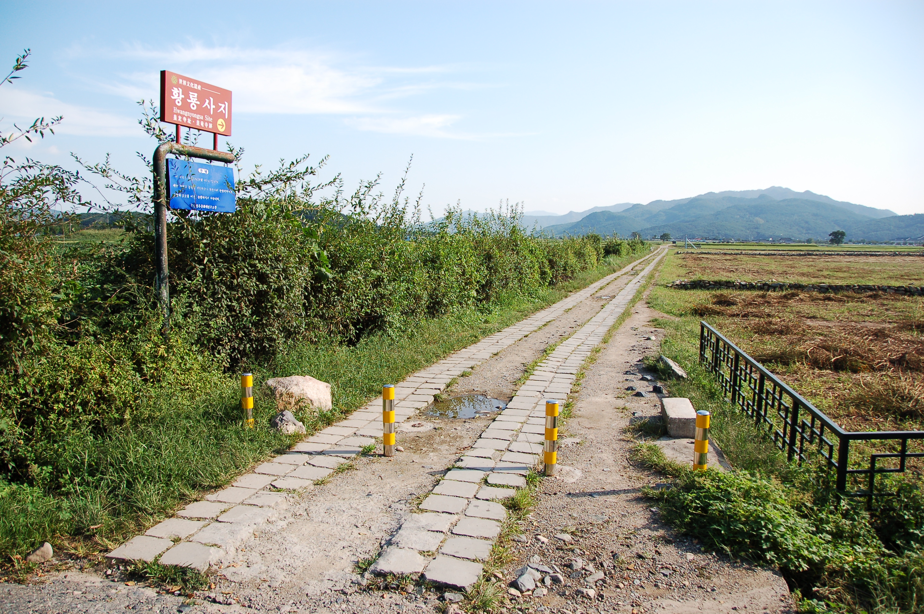 皇龙寺遗址俯瞰