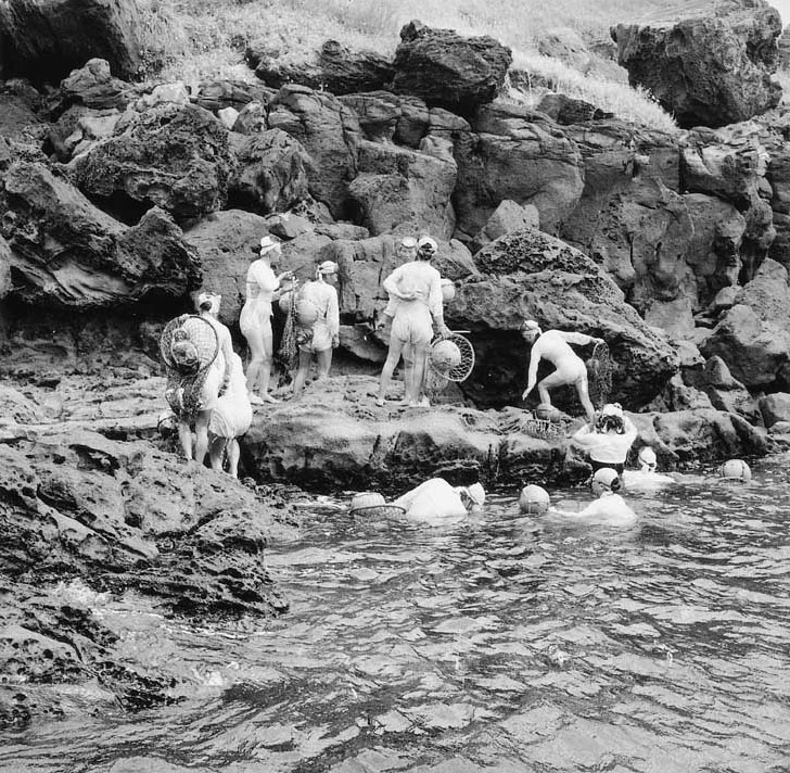1958 年海女的历史照片