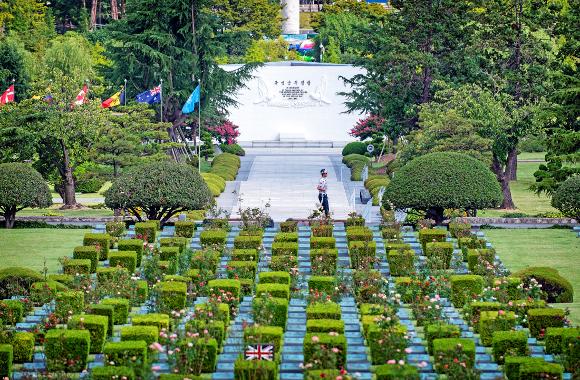 从高处俯瞰墓园全景，草坪上排列着各国国旗，墓区按国籍用绿篱分隔