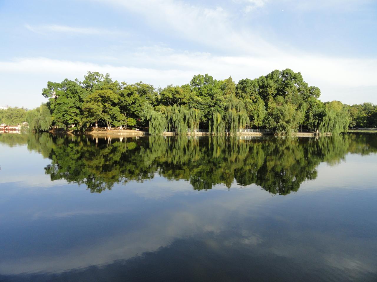翠湖公园湖面
