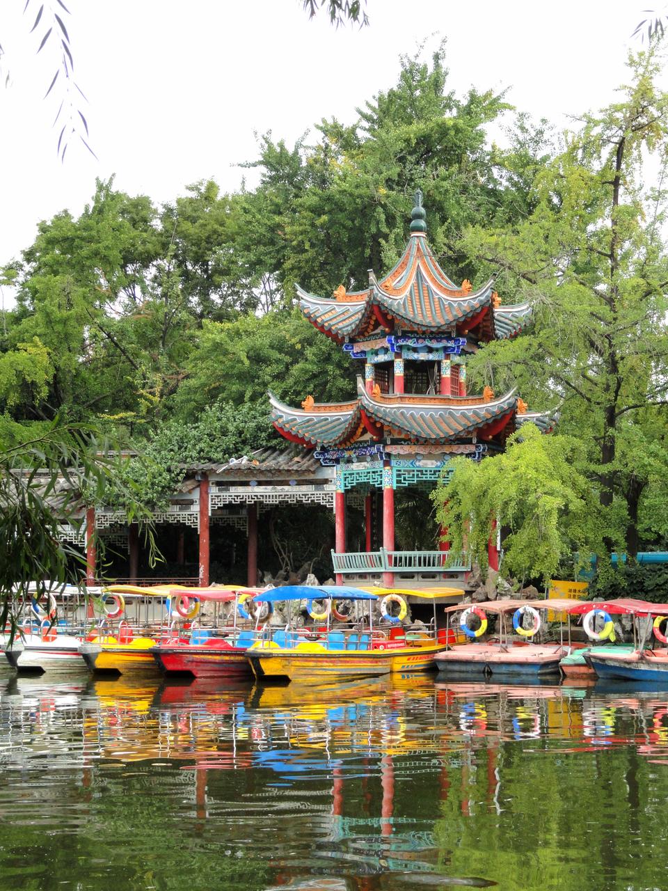 翠湖公园红嘴鸥与市民