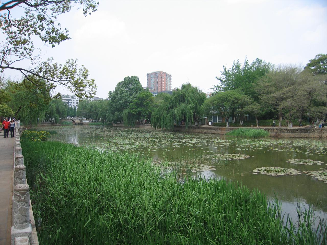 翠湖边的城市街道,战时大学城的地理核心