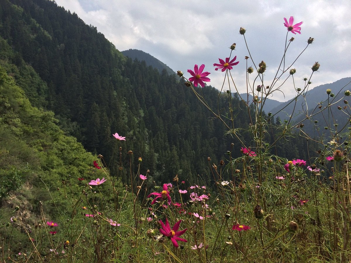 兴隆山山间森林与登山栈道
