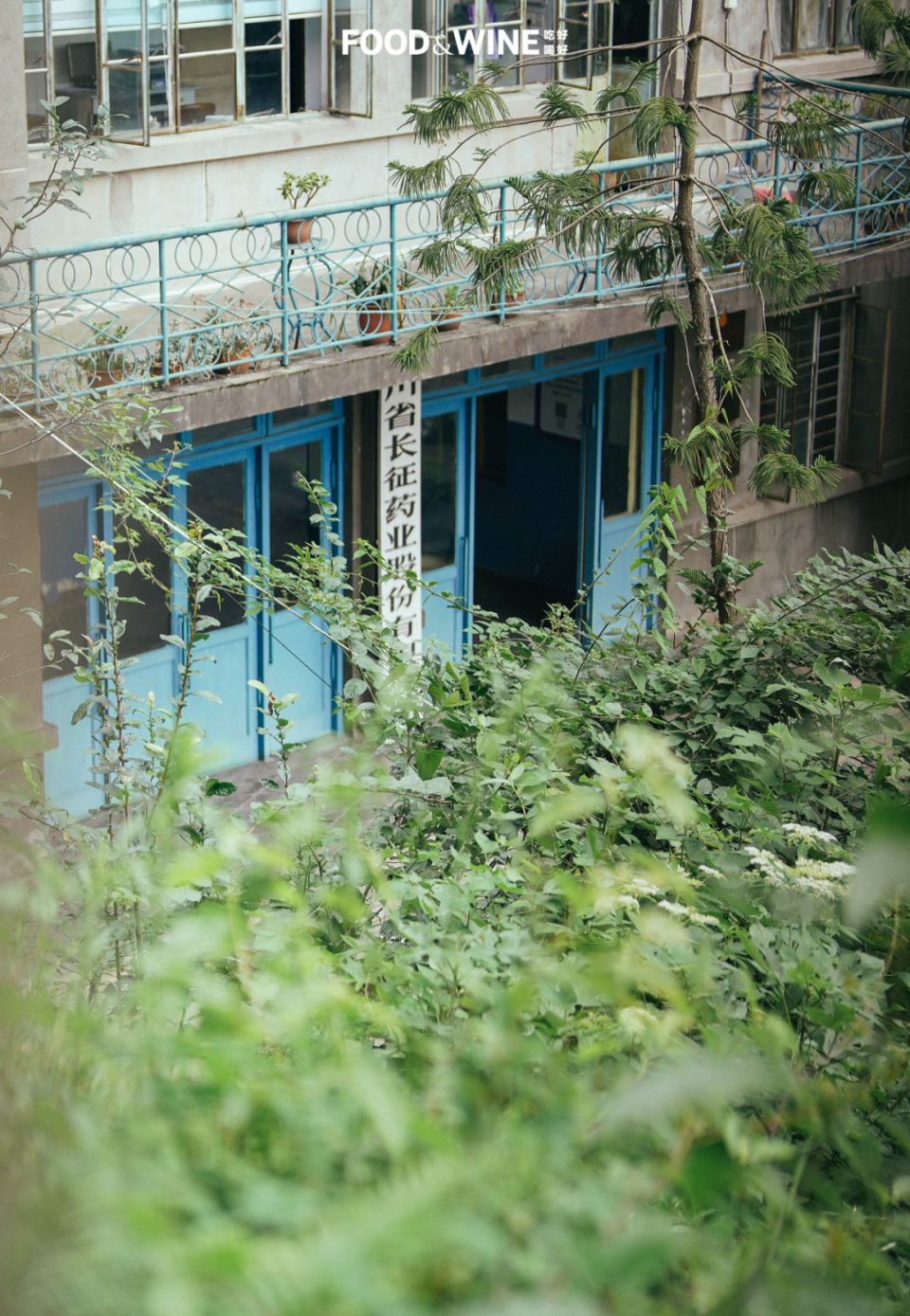 长药油炸摊位与厂区背景