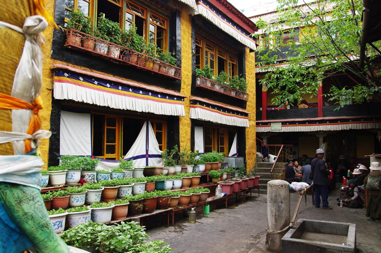 阿尼仓空寺背面外观，黄色建筑外立面和鎏金屋顶