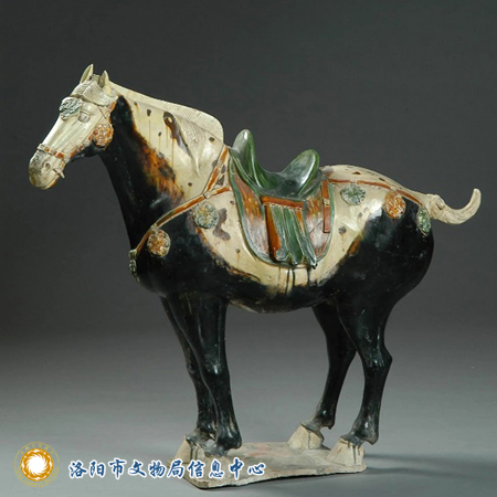唐三彩黑釉马，唐代，1981年洛阳龙门安菩墓出土