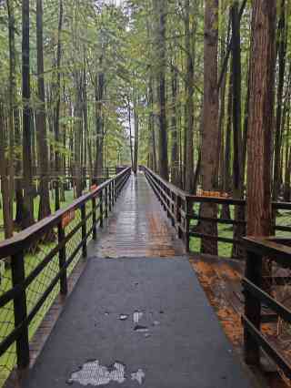 青山湖湖滨公园和沿岸步道