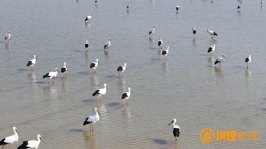 常湖区域的监测塔和"协议管湖"公示牌，注明承包湖区的渔民姓名和管护目标。