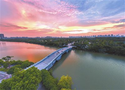 象湖湿地公园的生态景观