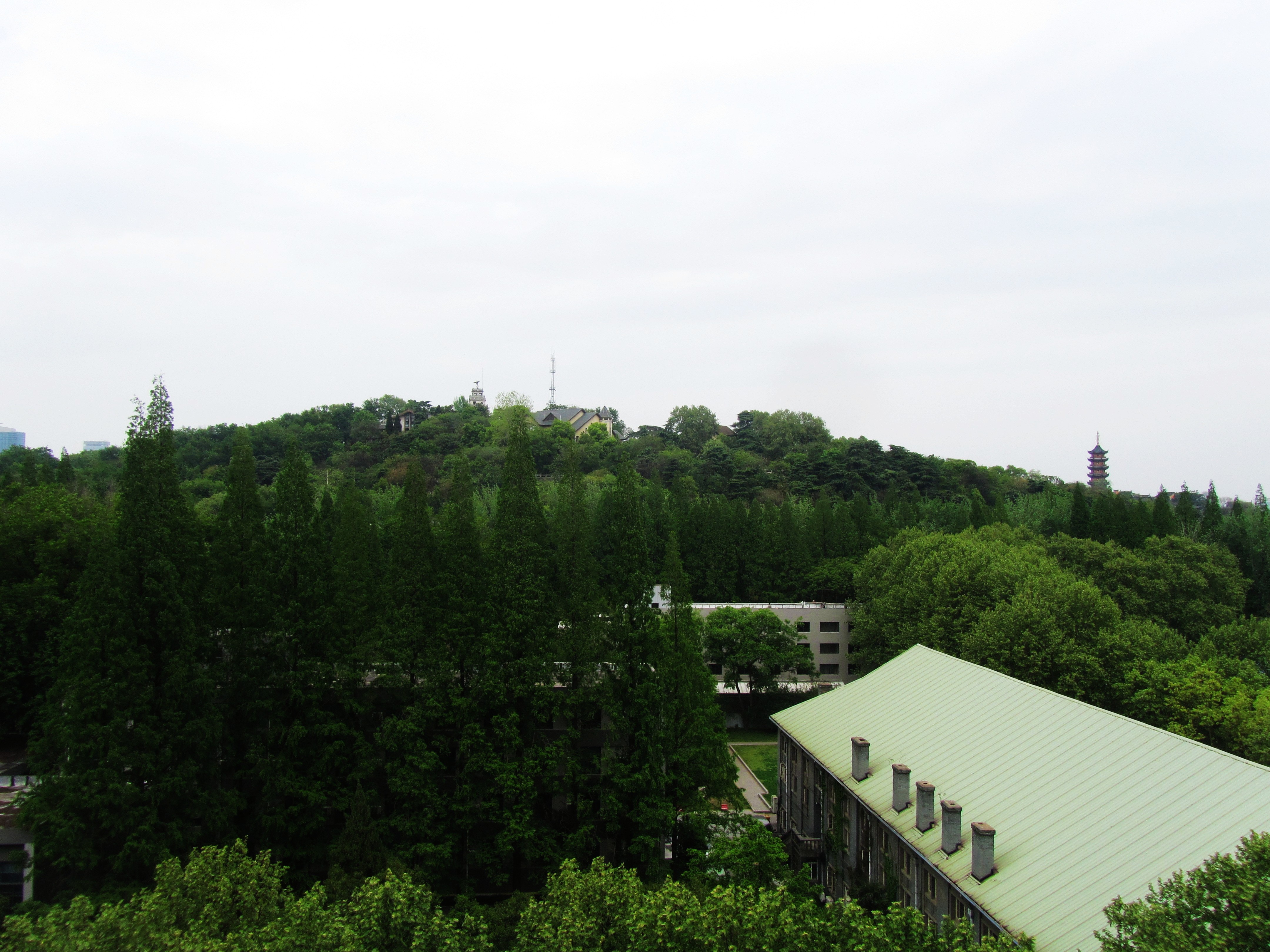 从东南大学榴园宾馆远眺北极阁全景，中部为气象台旧址，东侧为鸡鸣寺