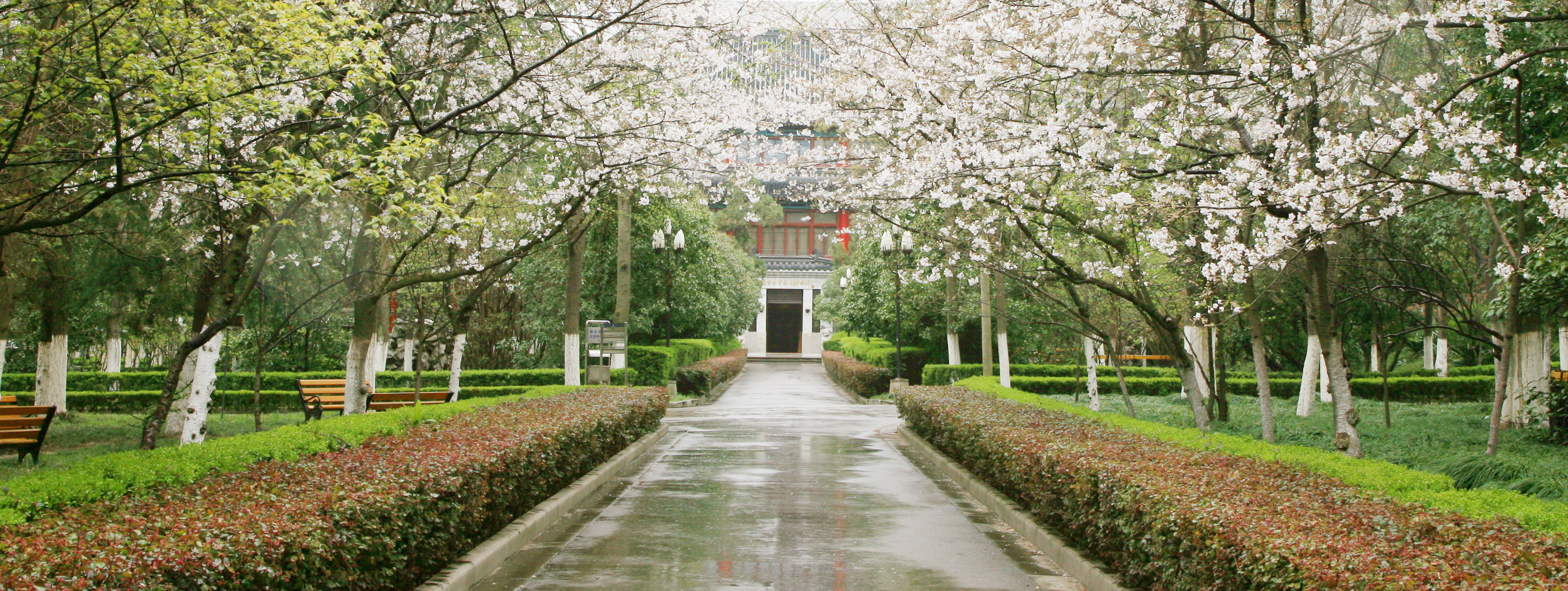 南京大学鼓楼校区文学院前的道路