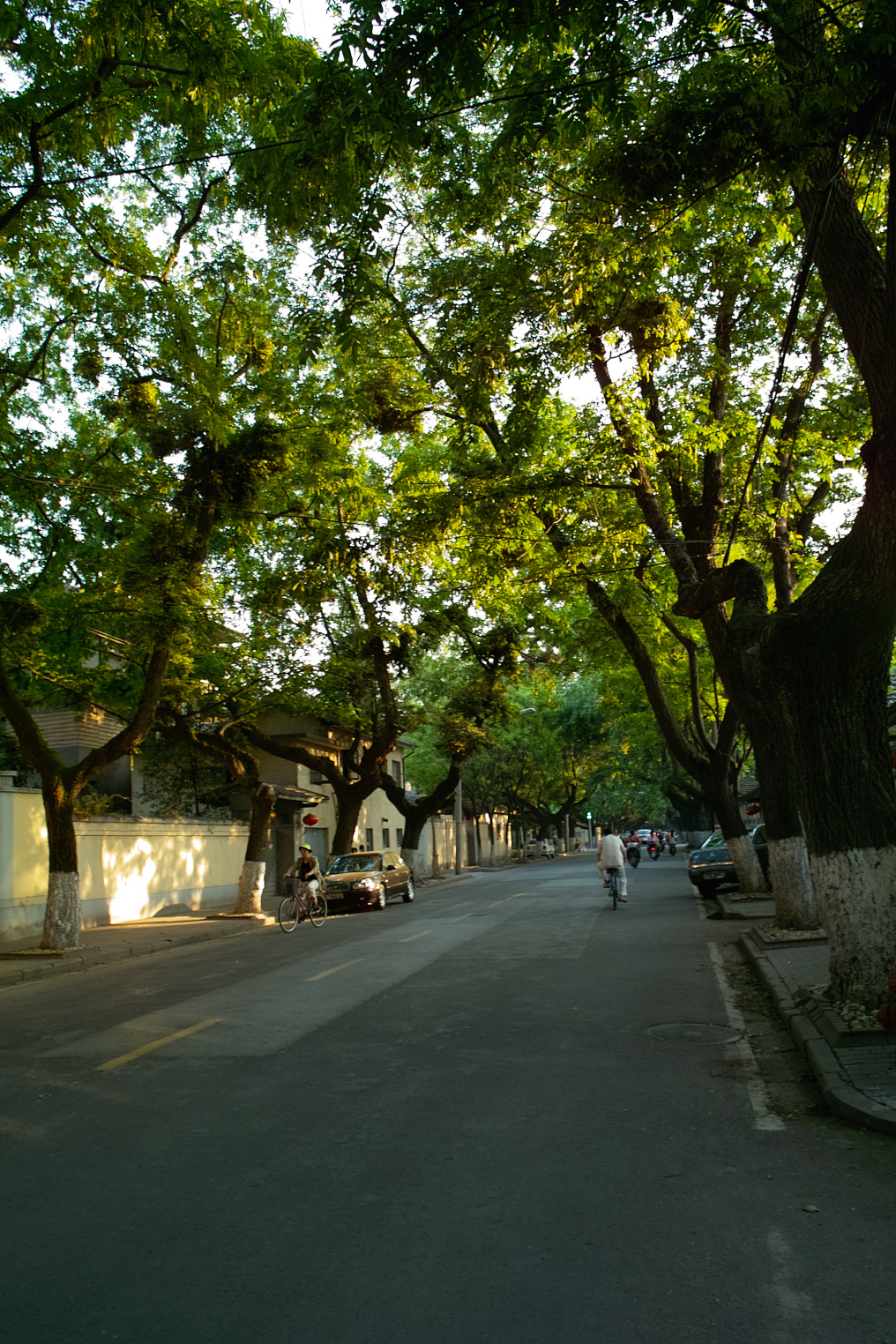 颐和路街景，路边典雅的西式别墅建筑