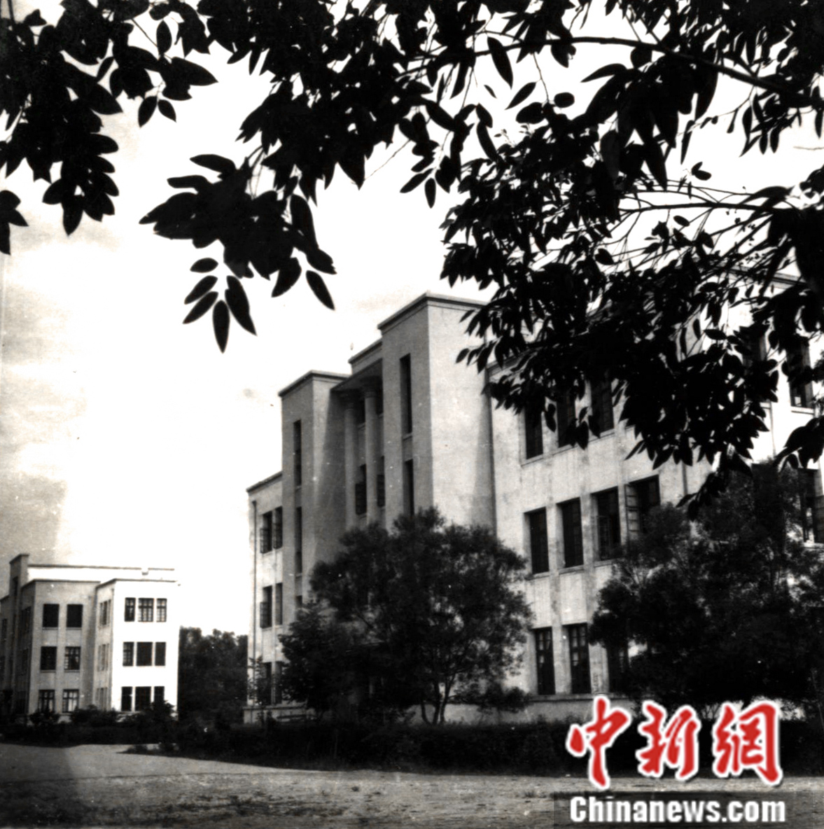 育才楼外观