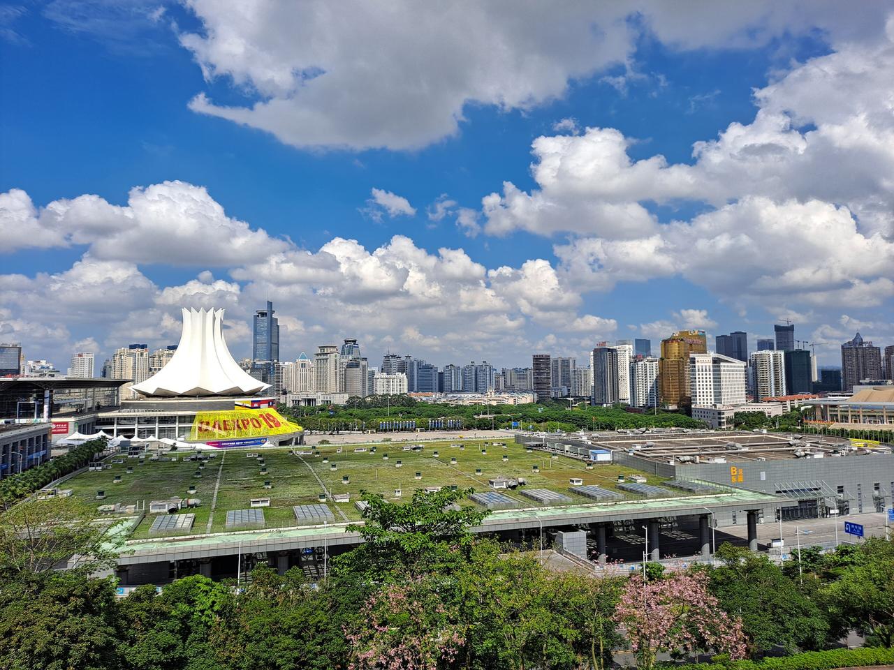 迎宾广场前的棕榈树和宽阔通道