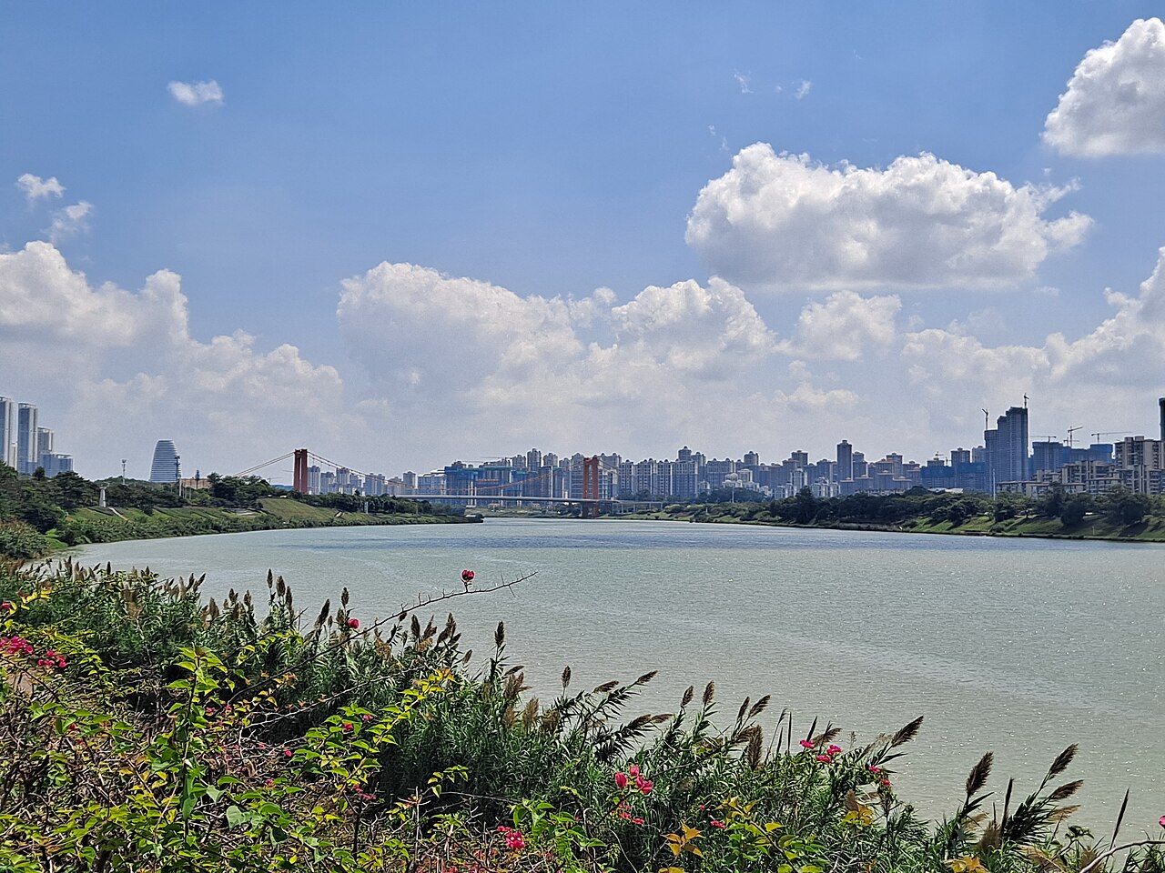 邕江沿岸景观与防洪堤