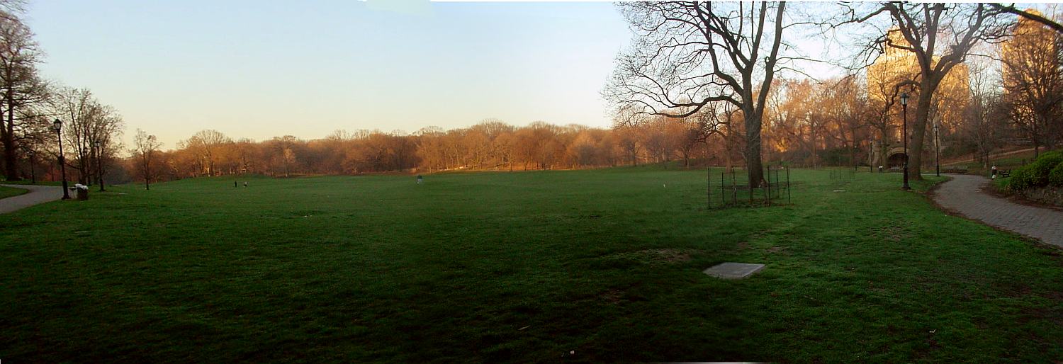 Long Meadow 全景，近一英里连续草坪横跨 Prospect Park 西侧