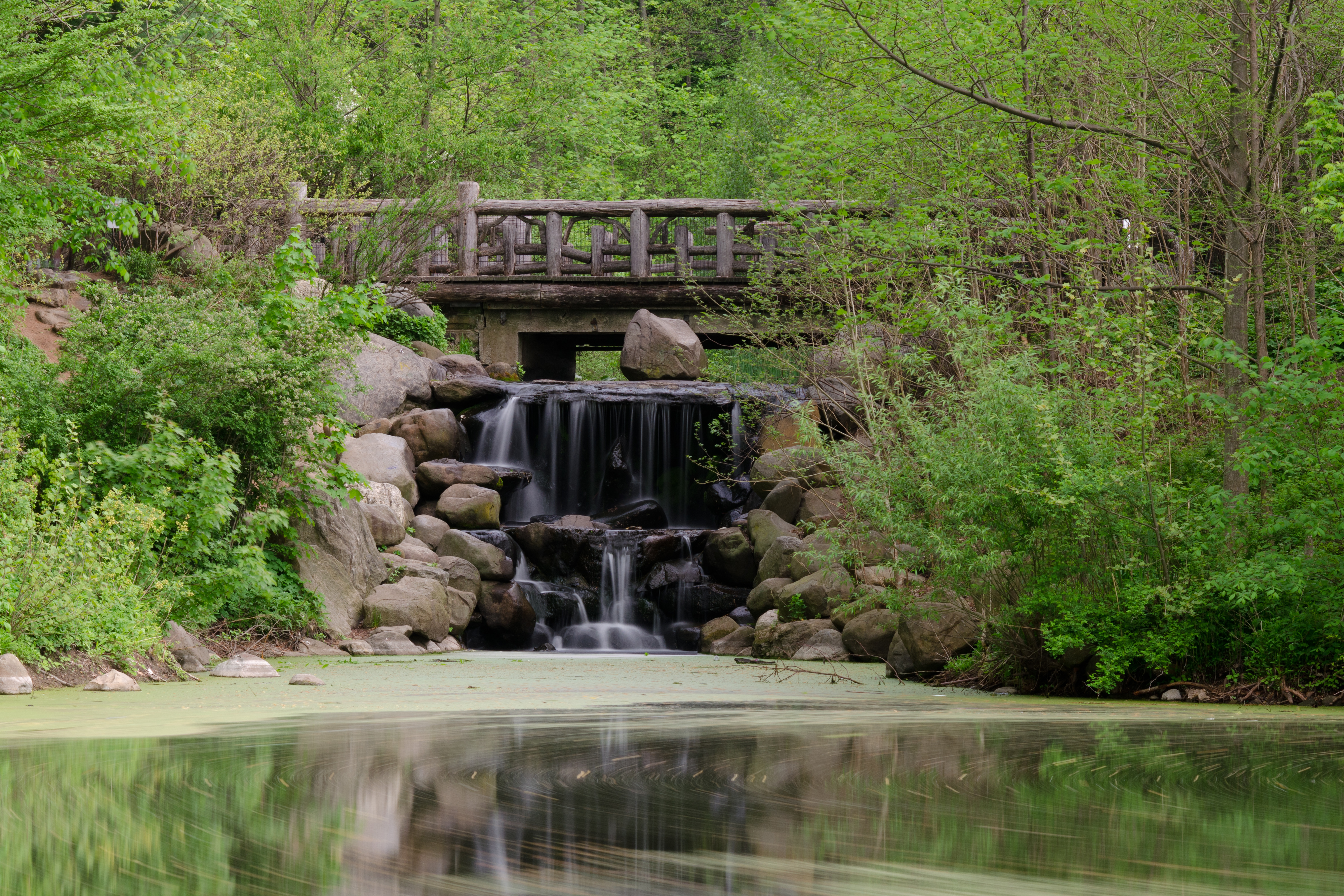 Ravine 内的人工溪流、瀑布和木桥