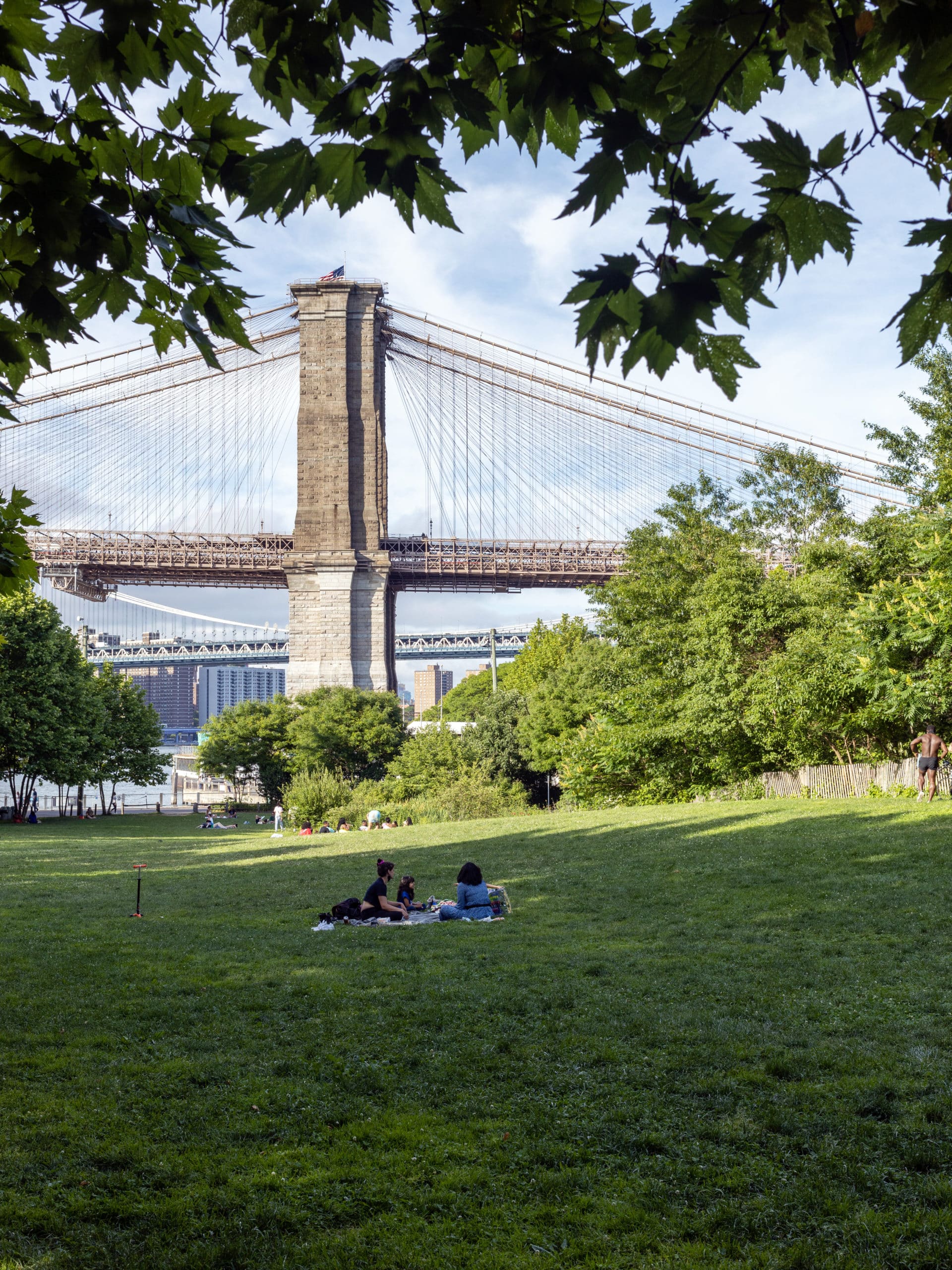 Pier 1 草坪全景，面向 Manhattan 天际线