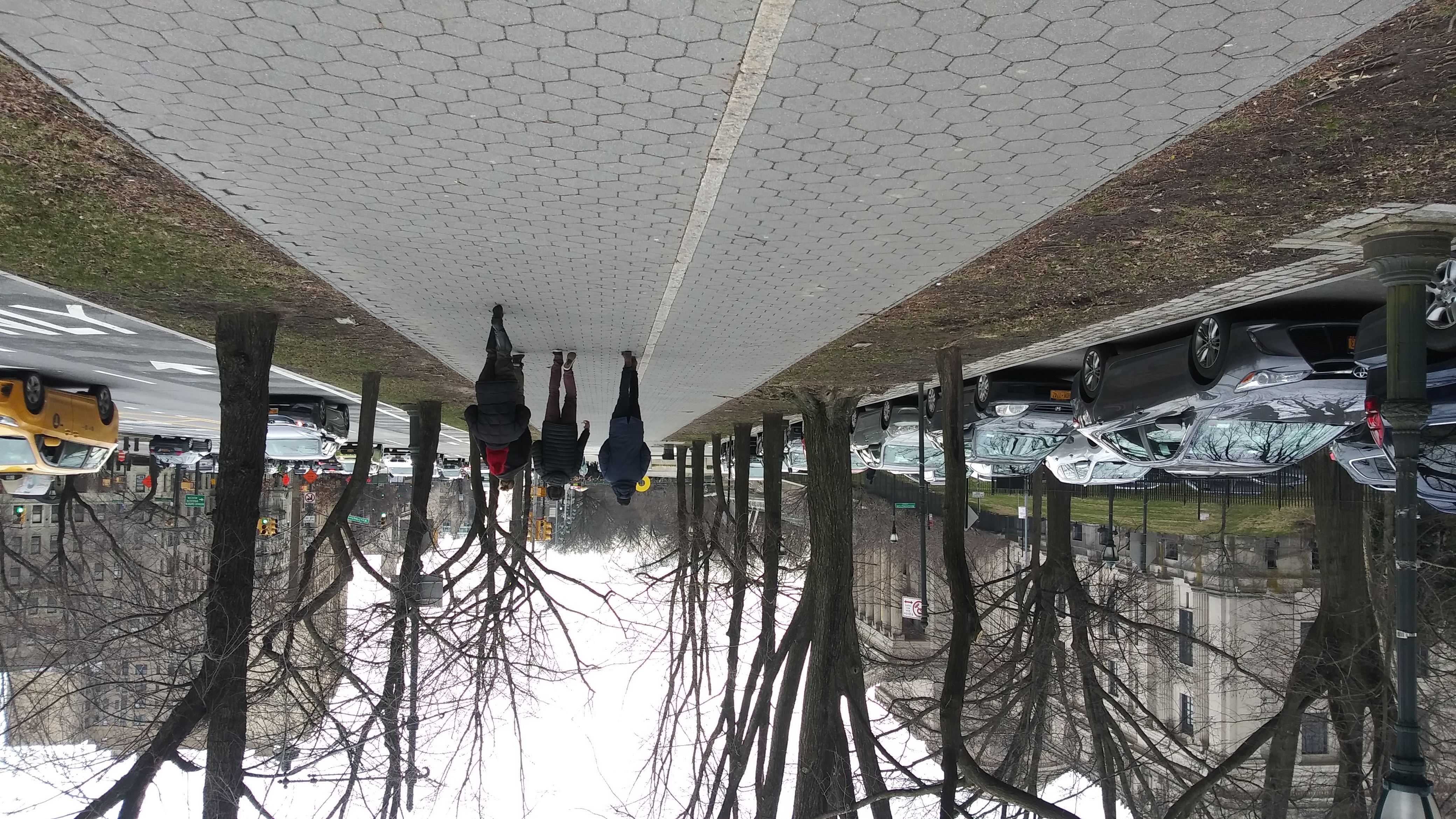 Eastern Parkway 树列步行林荫带