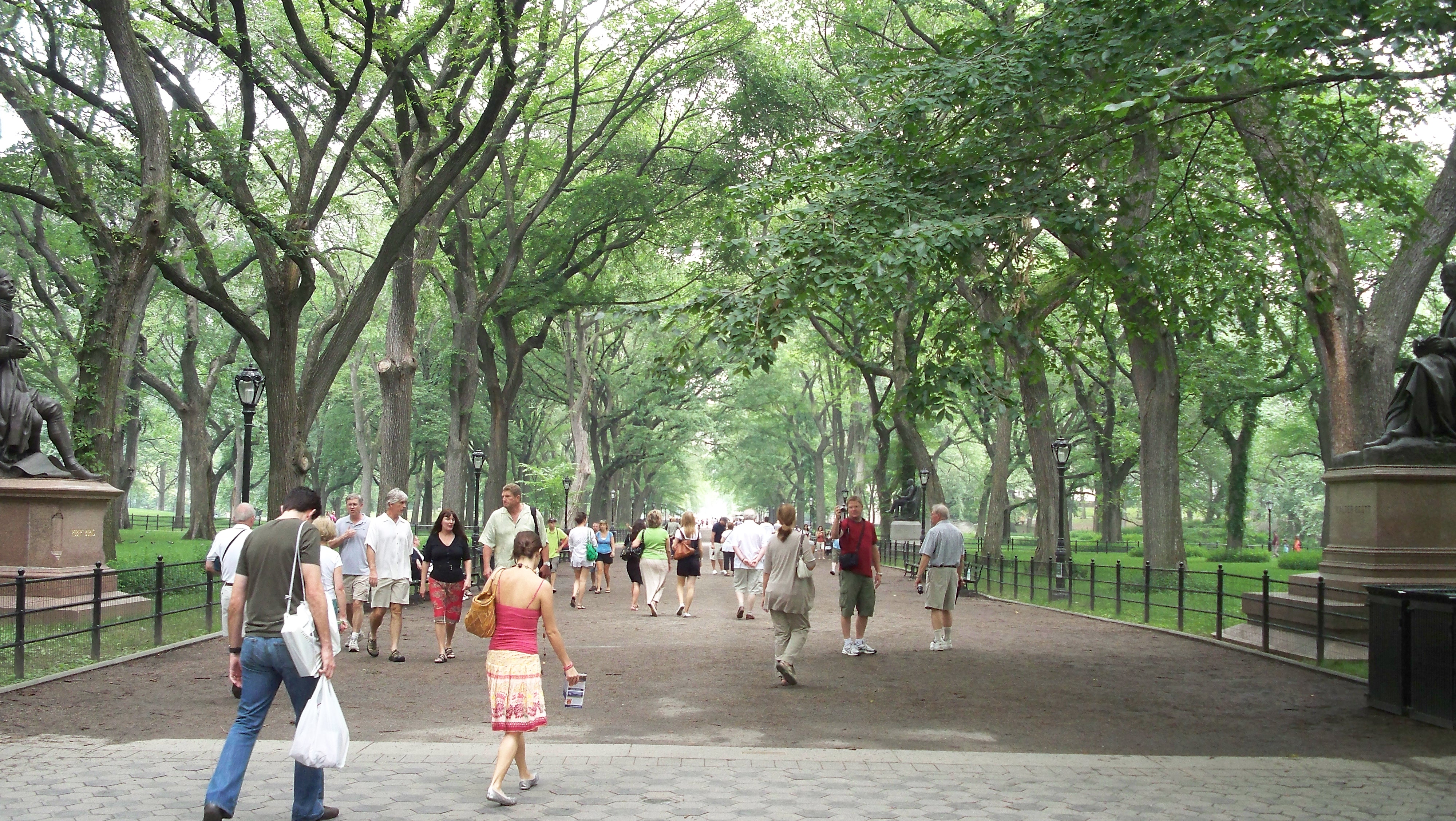 The Mall & Literary Walk 的全景，展示笔直步道、双排行道树拱廊和行人