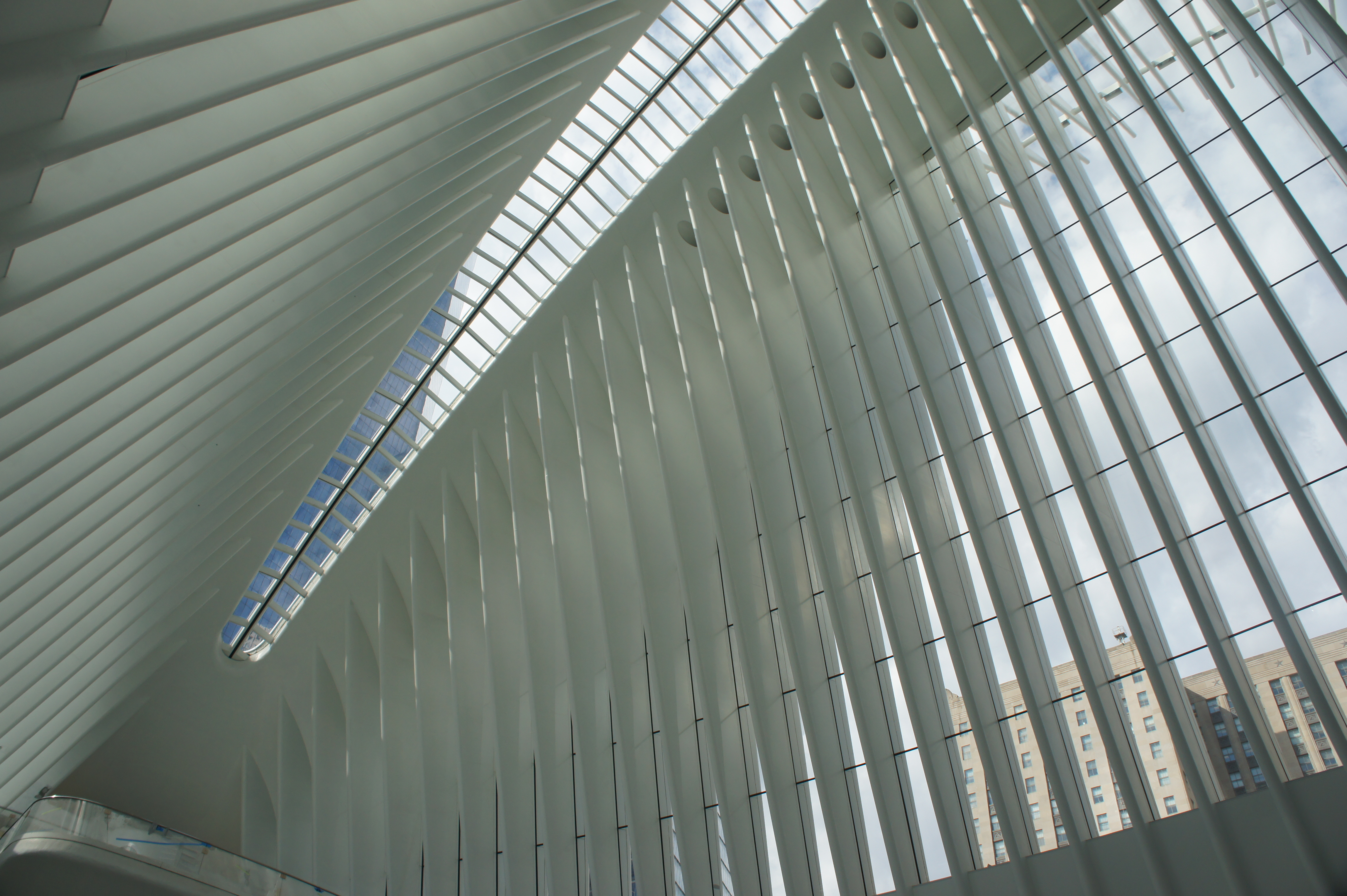 Oculus 内部大厅，展示肋拱结构和高挑空间