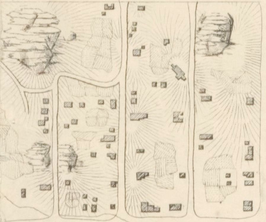 Seneca Village 在 Viele 地形图上的地块分割细节