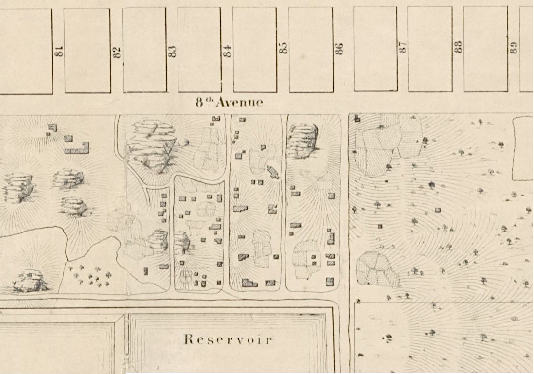 Viele 1856 年中央公园地形测量图上标注的 Seneca Village
